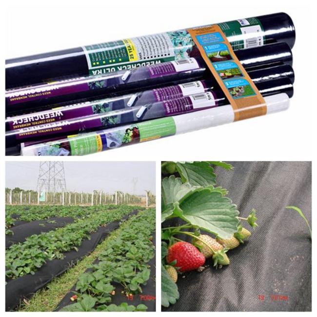 Rayson Brand Good Quality Agriculture Nonwoven