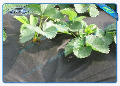 China Membrana represiva no tejida permeable al agua de la mala hierba de la cubierta de la agricultura de la tela del jardín en venta