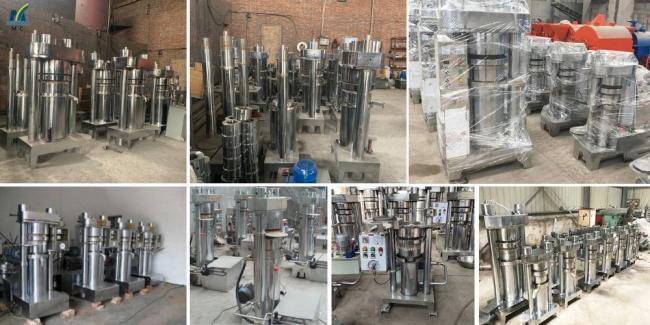 Cold Pressed Avocado Processing Equipment Hydraulic Oil Extraction Press Machine Price