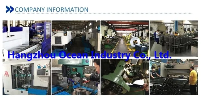 Standard and Special Steel Spur Gear Transmission Pinion Gear