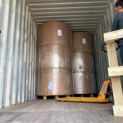China La prenda impermeable de la categoría alimenticia PE cubrió el gramo de papel del rollo 150 ~ 350 gramos en venta