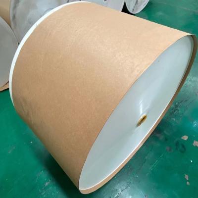 China 13gsm 14gsm PE Coated Paper Roll ISO Paper Cup Raw Materials for sale