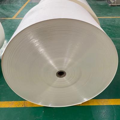 China 13gsm 14gsm PE Coated Paper Roll ISO Paper Cup Raw Materials for sale