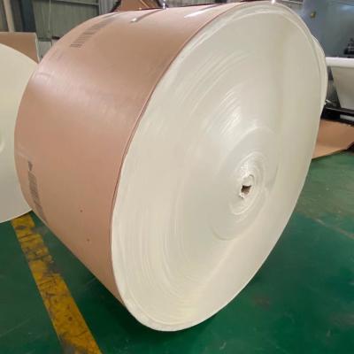 中国 170Gsm PEはペーパー ロール単一/二重PEのコーティングを薄板にした 販売のため