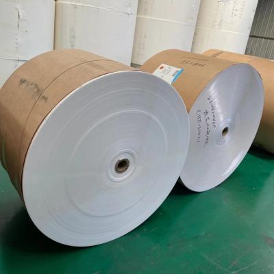 China 190g 210g PE Coated Paper Roll 1.3m Disposable Paper Roll for sale