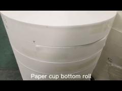 Bio materia prima inferior del rollo 320GSM de la taza de papel de Flexo para la taza de papel