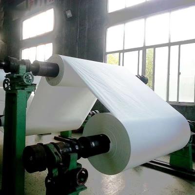 China Coated Special Paper Anti Oil Greaseproof Paper Sheets For Wrapping Food for sale