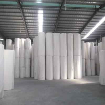 China Special Paper Wet Strength Paper For Beer Label Neck Label Printing for sale