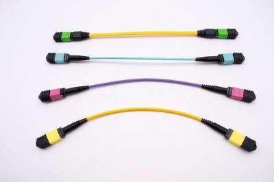 China MPO/MTP fiber optic patch cord/cable/jumper for sale