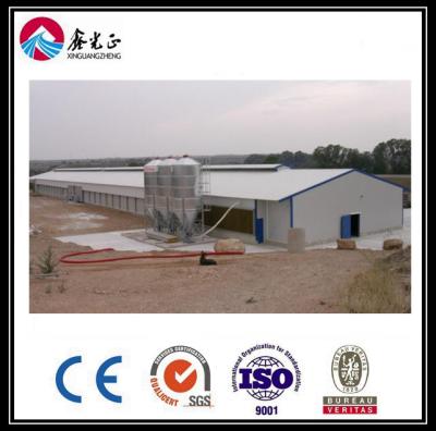 China CE Broiler Chicken Cage System Pan Feeding System For Poultry Farming for sale
