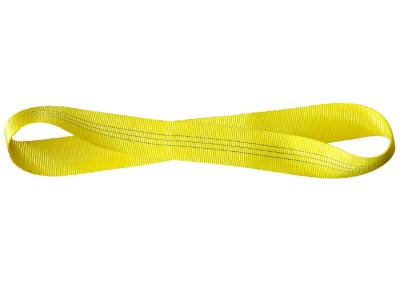China 100% Polyester Endless Webbing Sling for sale