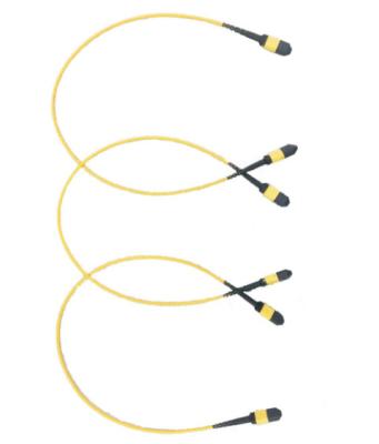 China Cable de fribra óptica del IEC de 8 bases, MPO al cable LSZH de la fibra de MPO en venta