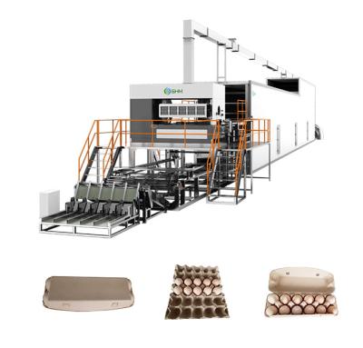 China Automatic Waste Paper Egg Box Machine Pulp Molding Equipment for sale