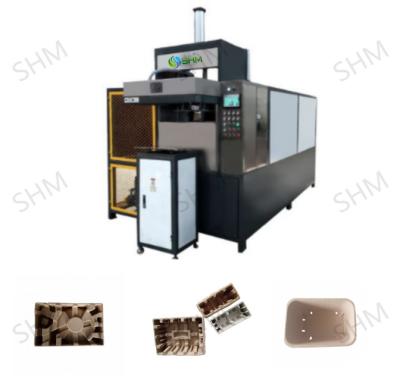 China Fabricante de cartón de huevo de pulpa moldeada Máquina automática de fabricación de cartón de huevo en venta