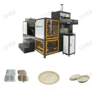 China Mini-Zukarnrohrplattenherstellungsmaschine / Bagasse-Plattenherstellungsmaschine zu verkaufen