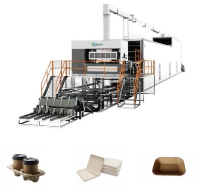 Chine Machine de fabrication de plateaux à fruits en papier Machine de production de plateaux à œufs en thermoformage à vendre