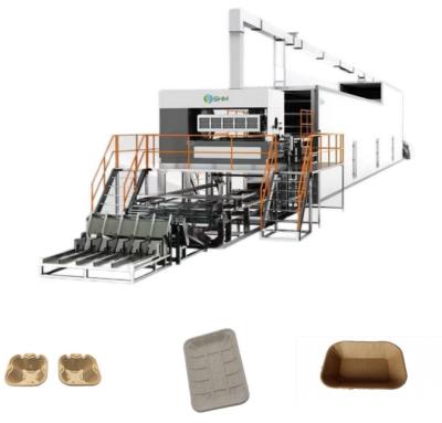 China Máquina de elaboración de bandejas industriales de frutas, máquina automática completa para formar bandejas de huevos en venta