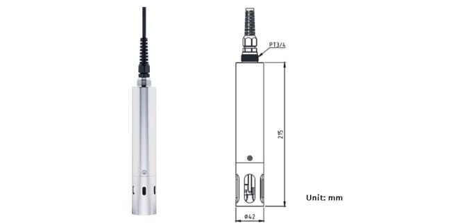Chloride ion sensor