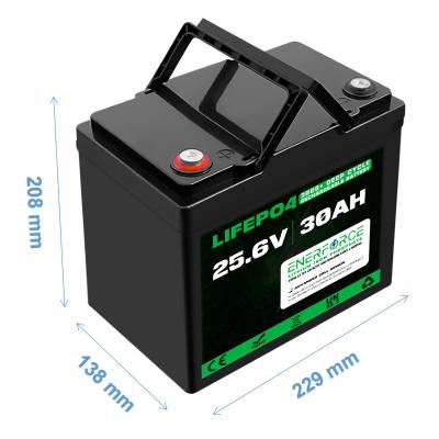 China 30AH 24V Lithium Phosphate Battery For Ebike Scooter Go Kart Fun Cart for sale