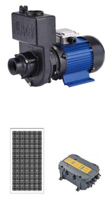 Chine Pompe à eau submersible solaire extérieure sans brosse de C.C, pompes à eau conduites solaires à vendre