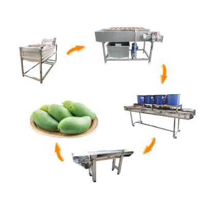 China Cheaper Price Orange Pear Apple Mango Grapes Fruit Vegetable Washing Dryer Sorting Machine Processing Line for sale