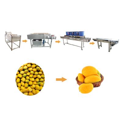 China Industrial Fruit Washer And Sorting Line Apple Mango Washing Machine 400-600KG/H Fruit Cleaner Machine for sale