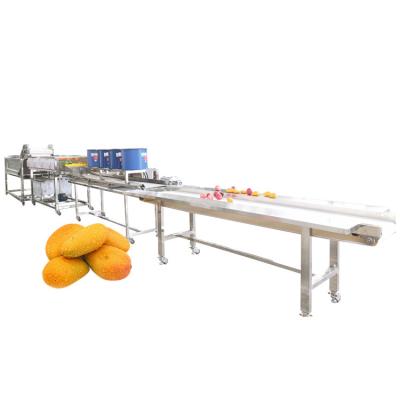 China Cleaning Vegetable Processing Line For Apple/mango/ginger/tomato Washing And dryer processing for sale