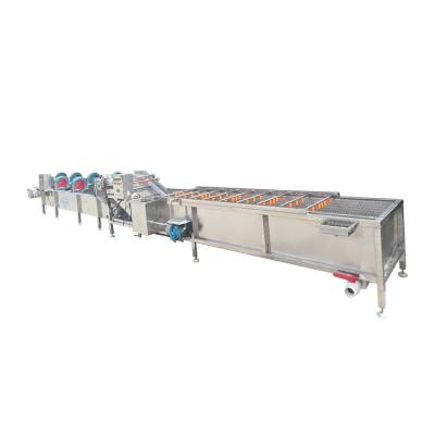 China Vegetable Washing and Drying Machine Fresh Fruit Vegetable Processing Units Low Consumption High Efficiency Dried Products 5.1KW for sale