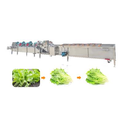 China fruit and vegetable washing and drying machine for sale