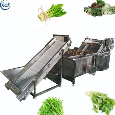 China Automatic fruit and vegetable processing line spinach washing and drying machine for sale