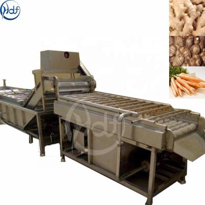 China Automatic fruit and vegetable processing equipment Clean/peeled/dry/cut carrot processing line for sale