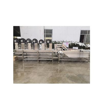 China Bamboo shoot processing equipment vegetable processing line for sale