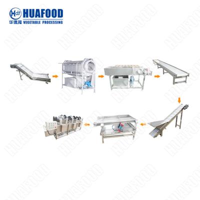 China Fruit Vegetable Washing Line Bubble Sugar Beet Cleaning Pumpkin Grape Washer for sale