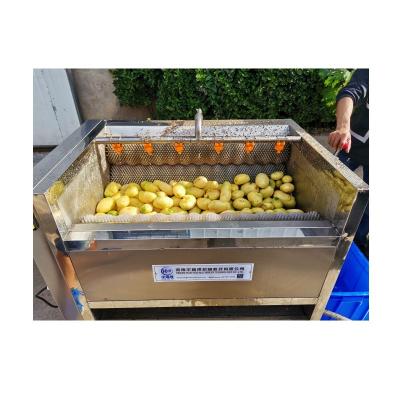 China Cheap Price Citrus Waxing And Grading Fruit Washing Drying Cassava Cleaning Machine for sale