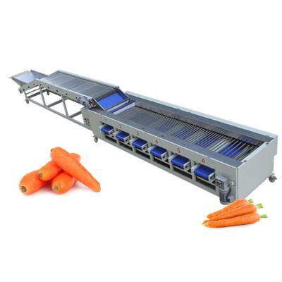 China 1.85KW Fruit Vegetable Processing Equipment Cucumber Carrot Sorting Machine for sale