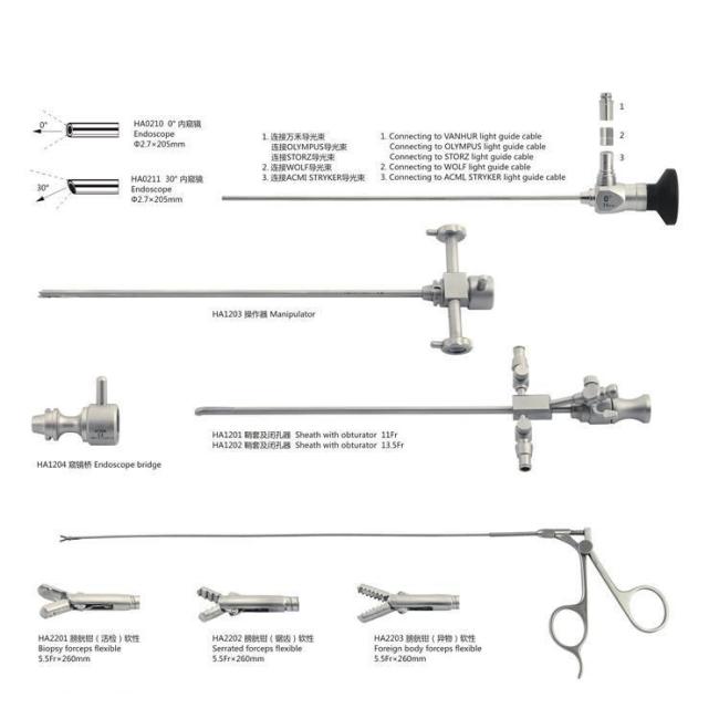 Medical Autoclavable 30° Cystoscope Surgical HD Endoscope Optic