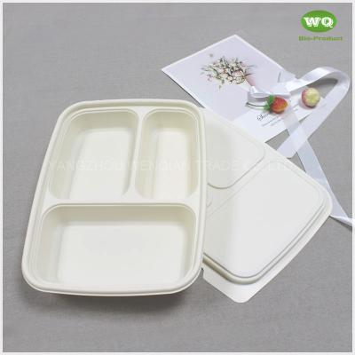 China 850ml 3-Coms Biodegradable Corn Starch Lunch Box ,Factory Price Food Container for street food and food to go Caterers for sale