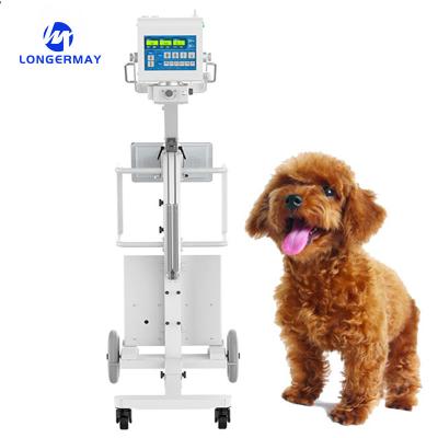 China Digital Portable Veterinary Medical Devices Animal X Ray Machine for sale