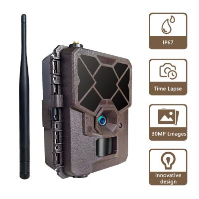 China 4G wireless Trail Camera App Remote control hd display cellular hunting camera for sale