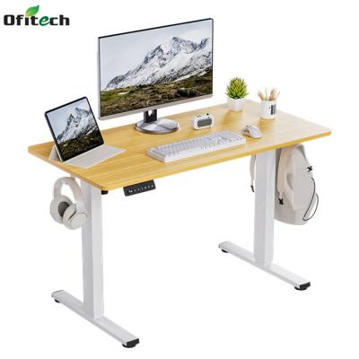 China SPCC Steel/Iron Frame Walnut Wooden Home Office Workstation with Electric Height Adjustment for sale