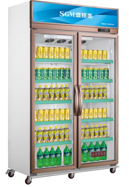 Quality 220V/110V Double Glass Door Display Freezer Beverage Commercial Showcase Refrigerator for sale