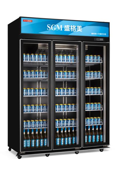 Quality 220V/110V Double Glass Door Display Freezer Beverage Commercial Showcase for sale