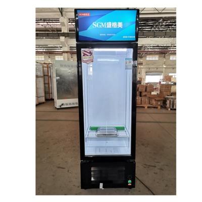 China Drinks Commercial Single Door Upright Freezer 210L Beverage Display Cooler for sale