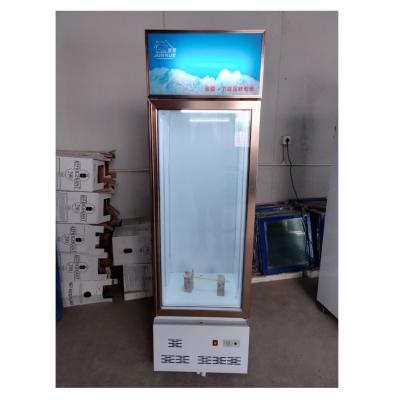China Store Single Door Upright Cooler aesthetic Beverage One Door Glass Cooler for sale