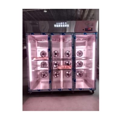 China Cabinet de cámara de descongelación con método de descongelación automática en venta