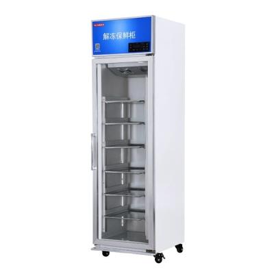 China Custom Controlled Thaw Cabinet Stainless Steel Single Door Defrosting Cabinet for sale