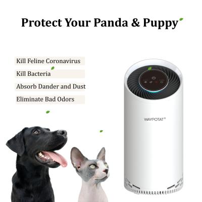 China 36W Air Purifier Reduce Dust Air Ionizer Machine For Pet Store Pet Odors for sale