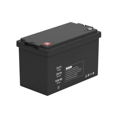 China Lightweight 12V LiFePO4 Lithium Battery Deep Cycle 100A 1536Wh for sale