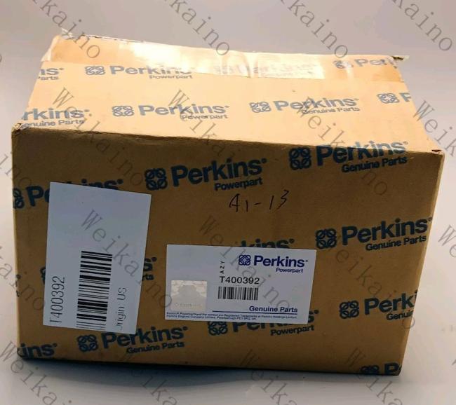 T400392perkins 293-0249 426-4806 C6.6 High-Pressure Fuel Injection Pump Lift Pump