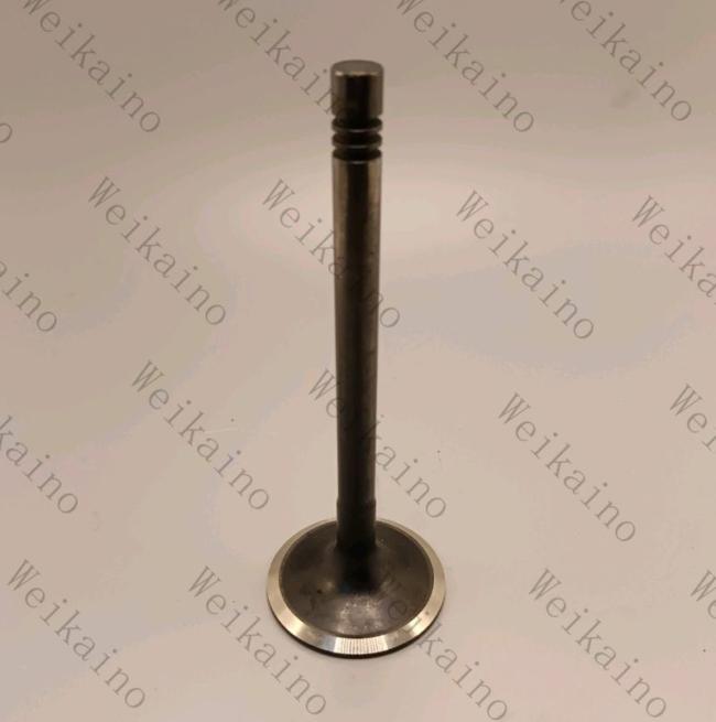 T423393 Perkins Intake Valve C7.1 381-6235 497-1111